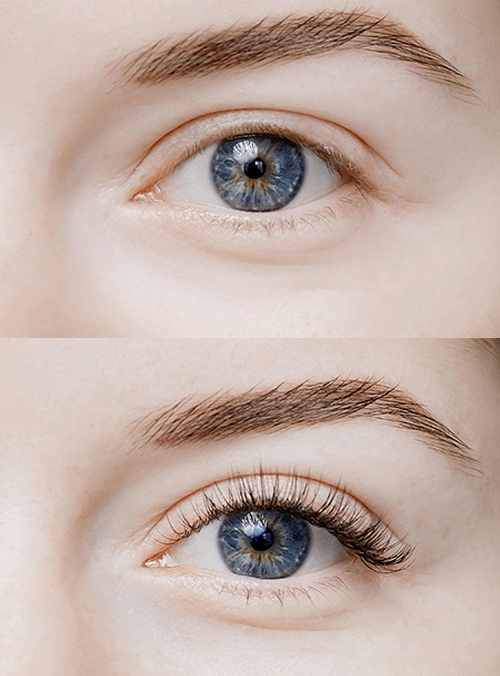 False Lash Mascara - Celesty