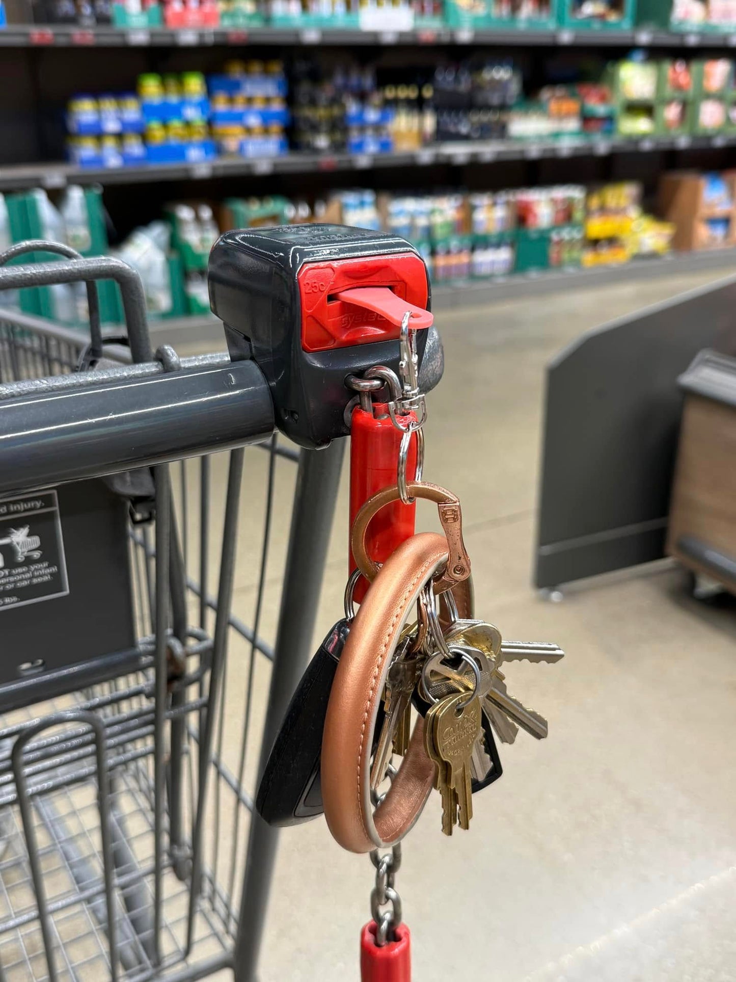 Shopping Cart Quarter Saver Keychain