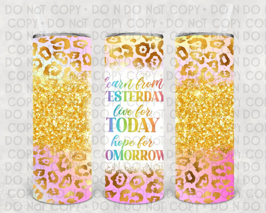Learn From Yesterday 20 Oz Skinny Tumbler